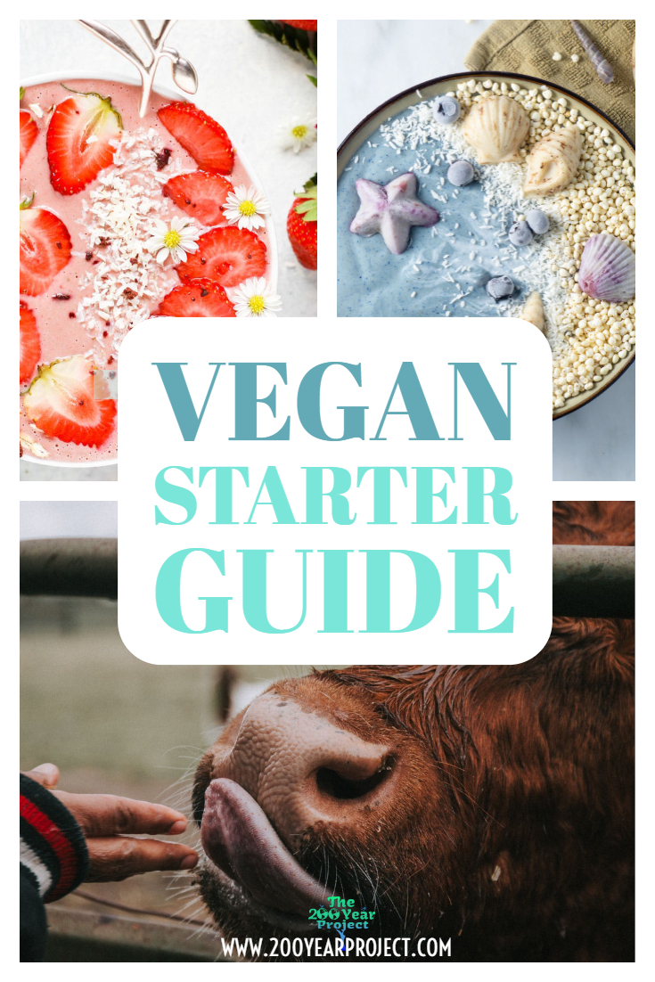 Thinking about going Vegan but don't think you can do it? Think again! With this easy Vegan Starter Guide with vegan food swaps you'll be a Power Vegan in no time! #vegan #veganbeginner #veganfood #veganfoodswaps #veganstarter #vegan #veganstart #veganbeginner #veganfood #veganfoodswaps #veganstarterkit