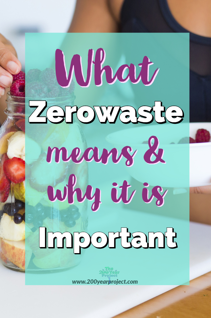 Why is Zerowaste important and what does it mean? We need to understand why our economy needs to go towards a circular zerowaste economy if we want this planet to survive our greed. Find out! #zerowaste #circulareconomy #zerowasteeconomy #reducetrash